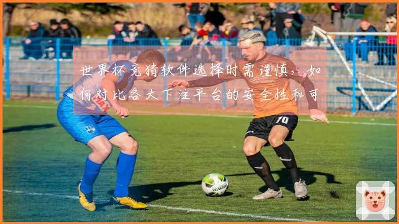 世界杯竞猜软件选择时需谨慎，如何对比各大下注平台的安全性和可靠性？