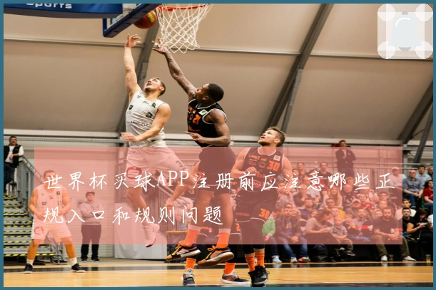 世界杯买球APP注册前应注意哪些正规入口和规则问题
